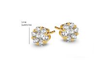 Small Floral Cluster Studs