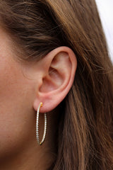 Medium Thin Oval Hoops