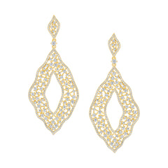 Exquisite Teardrop Earrings
