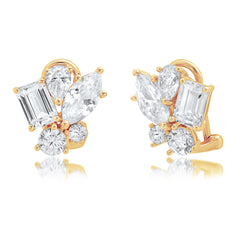 Exquisite Multi Shape Studs