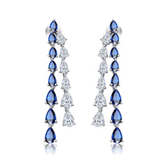 Double Teardrop Earring