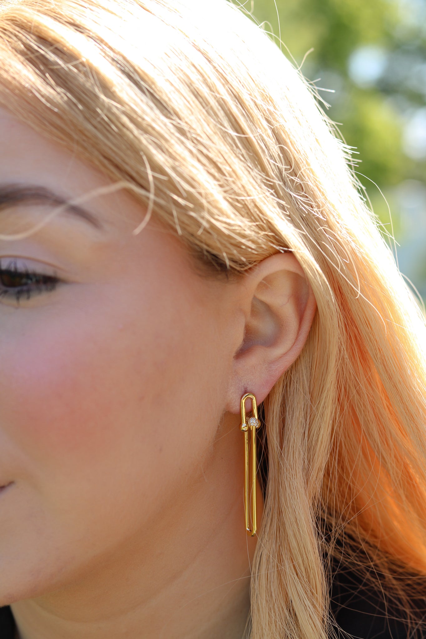Magnificent Link Earrings