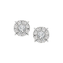 Brilliant Halo Stud Earrings