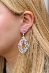 Exquisite Teardrop Earrings