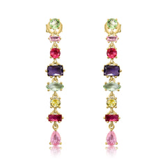 Unique Multi Color Earrings