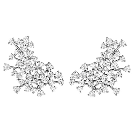 Statement Crawler Earrings