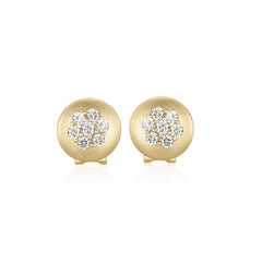 Brushed Lever Back Studs