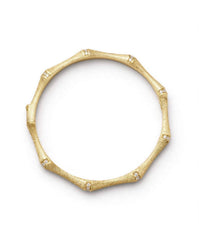 Colored Classic Bangle