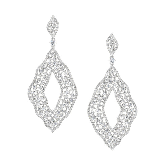 Exquisite Teardrop Earrings