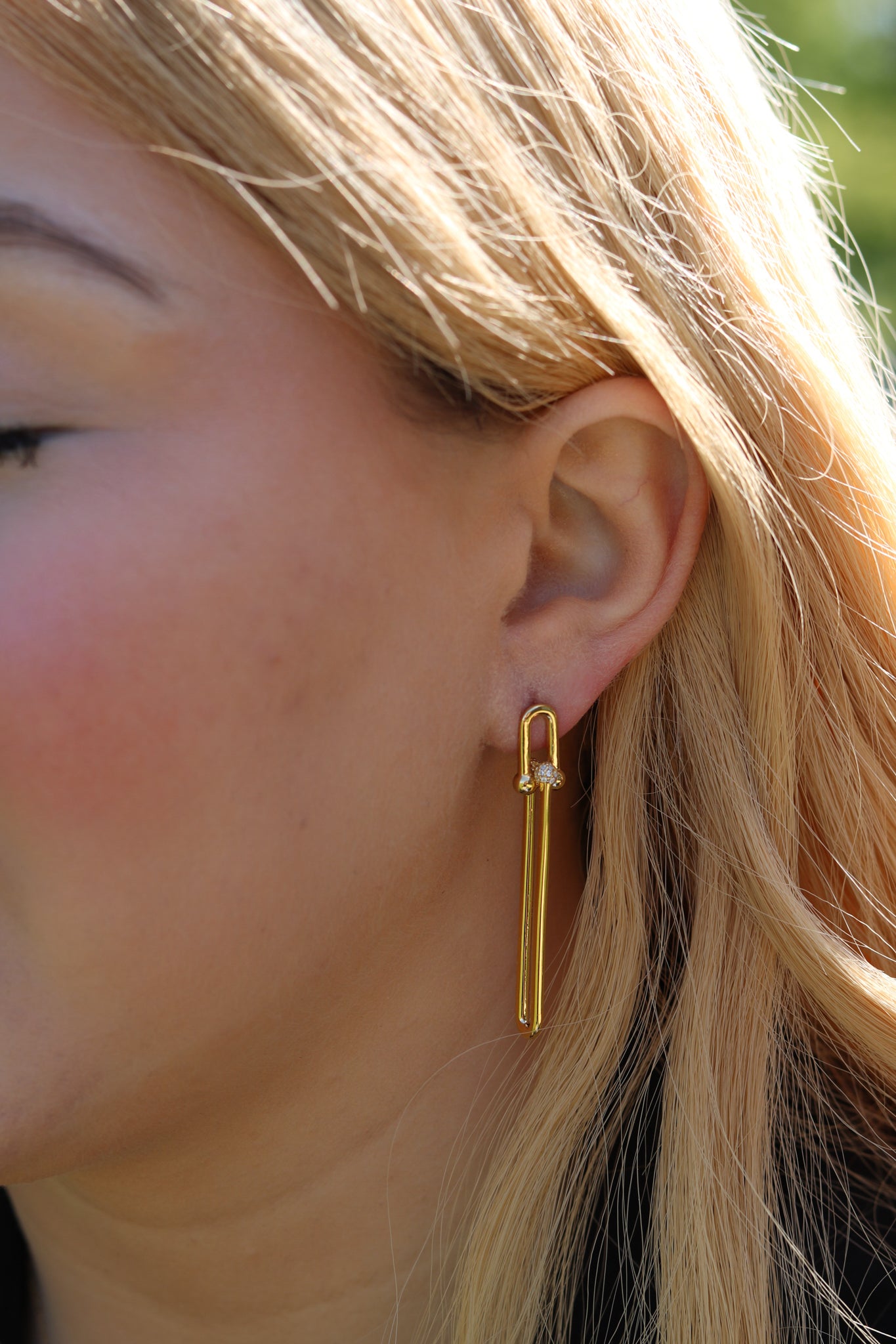 Magnificent Link Earrings
