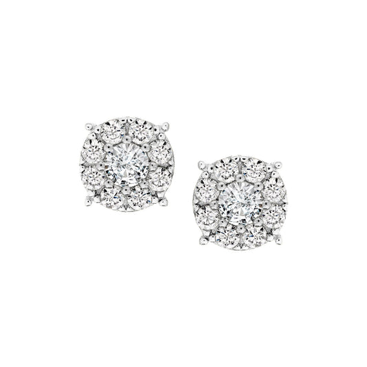 Brilliant Halo Stud Earrings